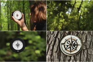 生活中辨别方向的方法有哪些,写出一种 生活中辨别方向的方法有哪些,写出一种现象