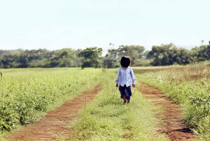 农家子的古代科举生活txt免费阅读（农家子的古代科举生活全文免费阅读 精彩小说网）