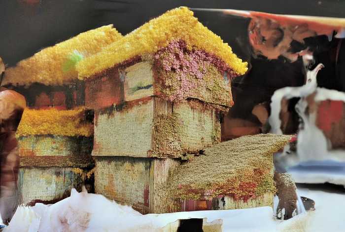 描写校园生活的段落 描写校园生活的段落100字