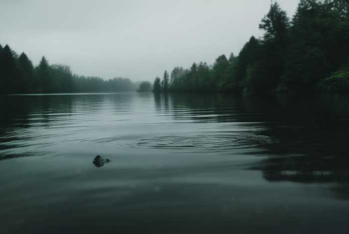 生活犹如一潭死水下一句 - 生活犹如一潭死水下一句是什么