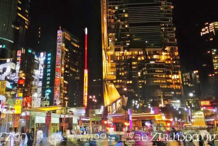 牛的生活习性特点50字;牛的特点和生活特征 牛的生活习性特点50字;牛的特点和生活特征