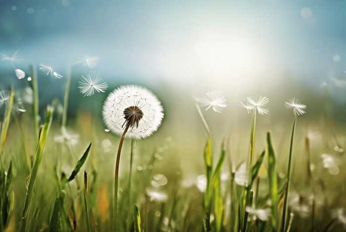 描写生活的优美句子20字、描写生活的优美句子20字以内