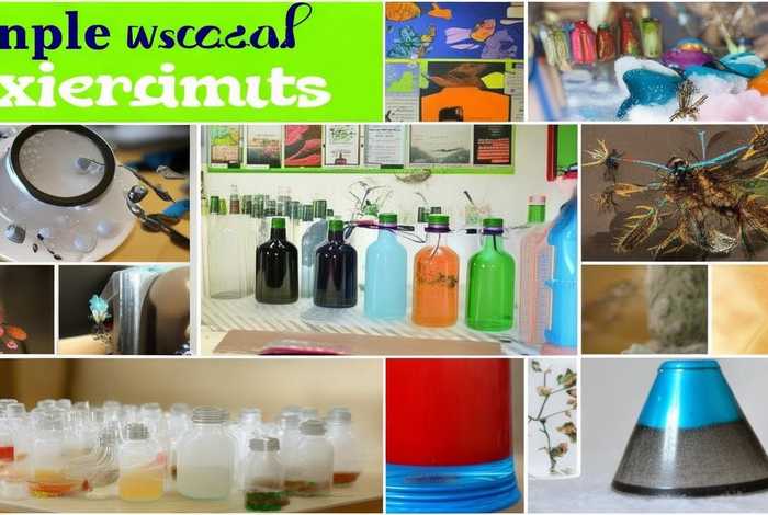 生活中的小实验有哪些简单好做的；生活中的小实验有哪些简单好做的图片