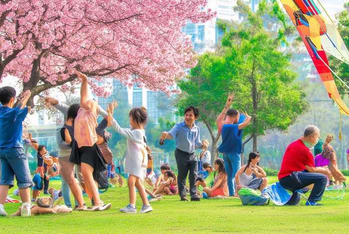 生活丰富多彩的成语怎么说 - 生活丰富多彩的成语怎么说的
