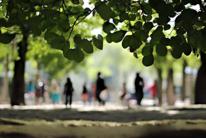 生活中的点的元素的应用;生活中的点元素图片分析 生活中的点的元素的应用;生活中的点元素图片分析