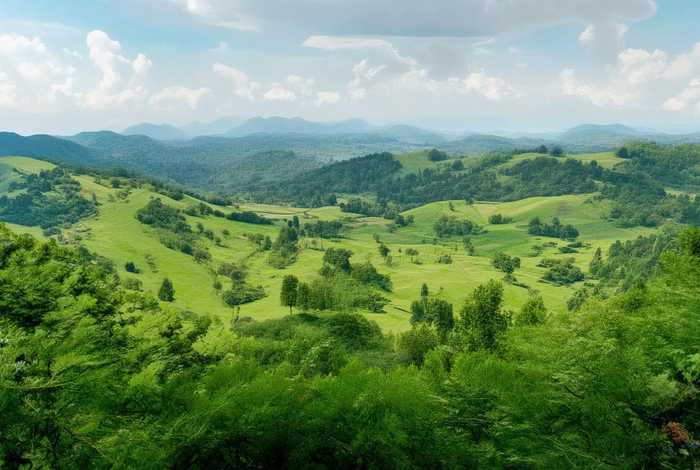 邳州生命树苗木种植园 - 邳州生命树苗木种植园地址