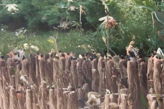 生活就像骑自行车感悟、生活就像骑自行车感悟一样