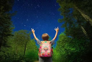 生活中辨别方向的方法二年级 生活中辨别方向的方法二年级日记怎么写176字