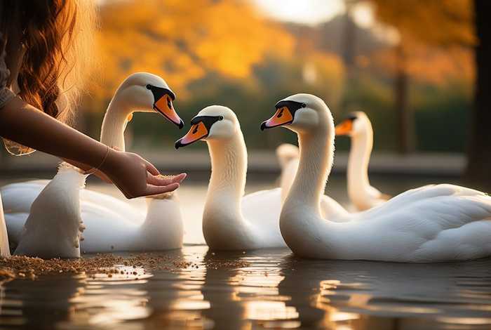 生活中的小善举优美句子（生活中的小善举优美句子简短）