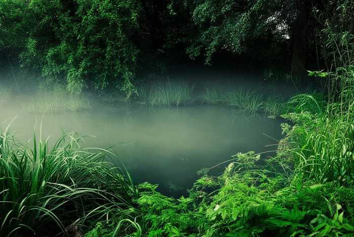 生活犹如一潭死水没有惊喜 - 生活犹如一潭死水什么意思