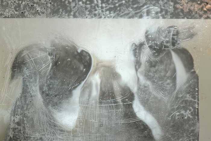 生活是什么样子的四百字作文初中（生活是什么样子的四百字作文初中生）