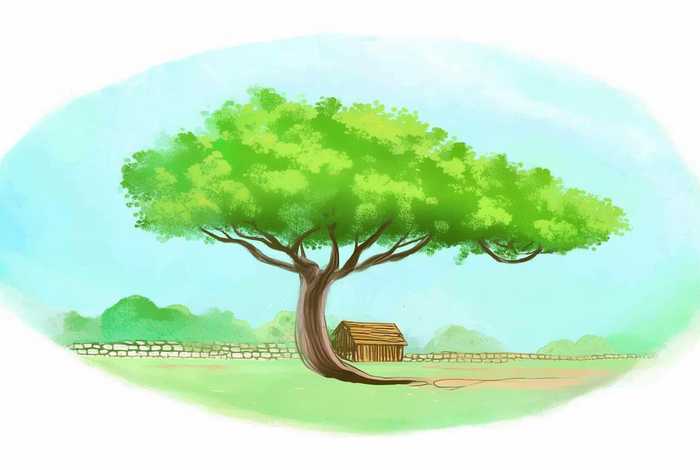 生活中的减法作文800字议论文，生活中的减法作文800字议论文怎么写