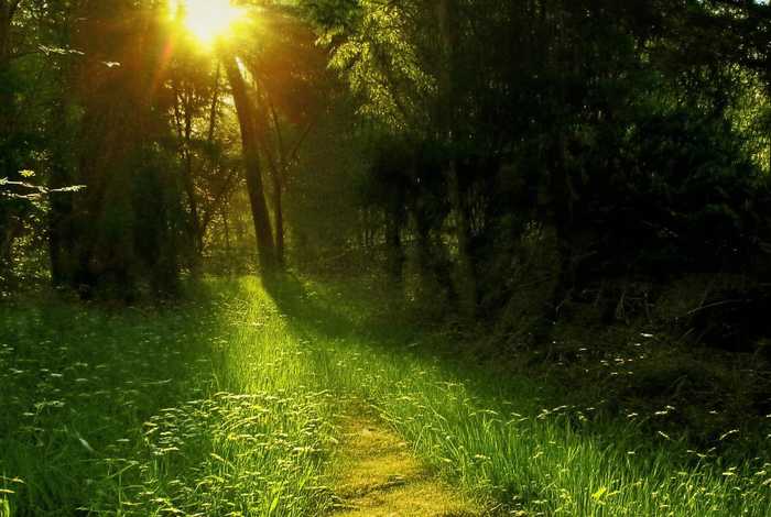 厦门生活节奏慢在哪里；厦门生活节奏慢在哪里买房