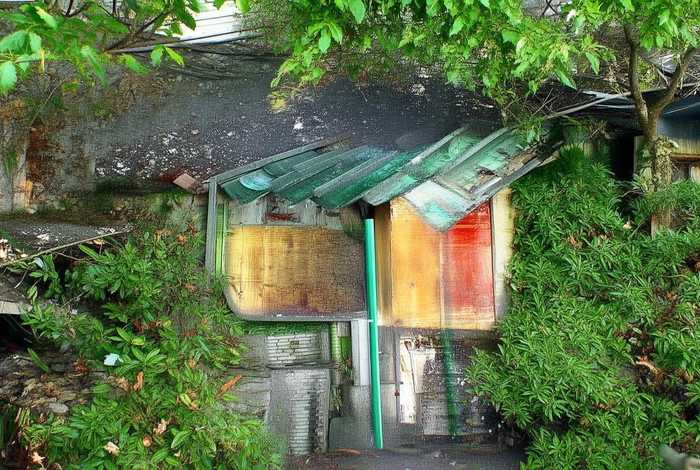 生活百科稿100字左右怎么写的 生活百科稿100字左右怎么写的好看