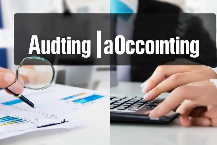 审计与会计的区别 - 审计与会计的区别在于