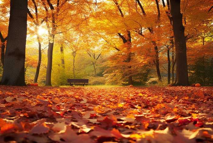 生活素材积累秋天；秋天的素材积累