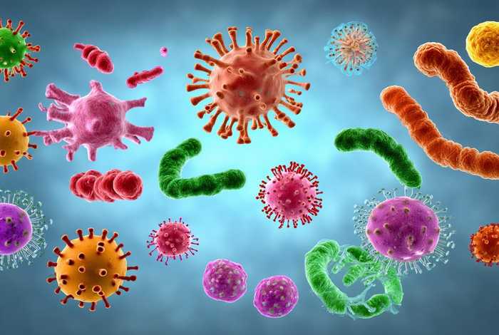 生活中常见的细菌和病毒图片(生活中常见的细菌和病毒图片大全) 生活中常见的细菌和病毒图片(生活中常见的细菌和病毒图片大全)