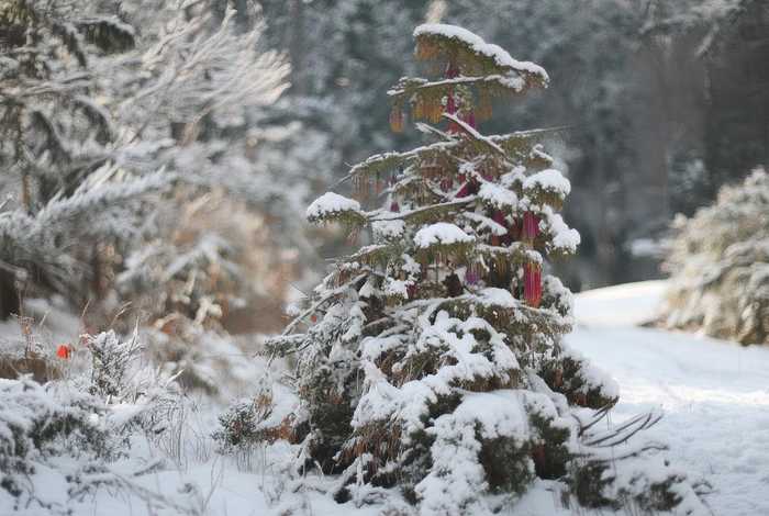 什么的校园填合适词语；什么的校园填合适词语四个字