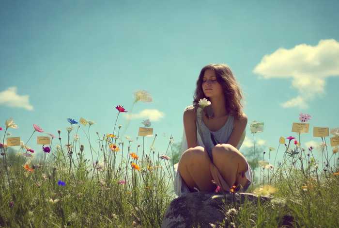 生活的教训是什么 - 生活的教训是什么歌曲