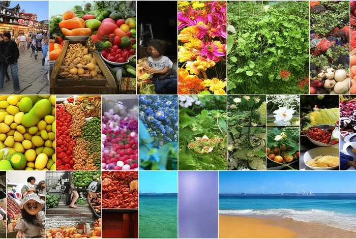 生活百味的含义 生活百味的含义和作用