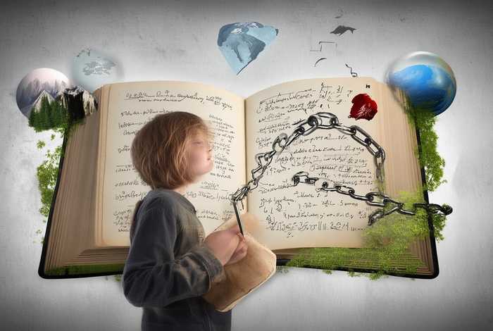 生活教会了我什么作文中考、生活教会了我什么作文中考600字