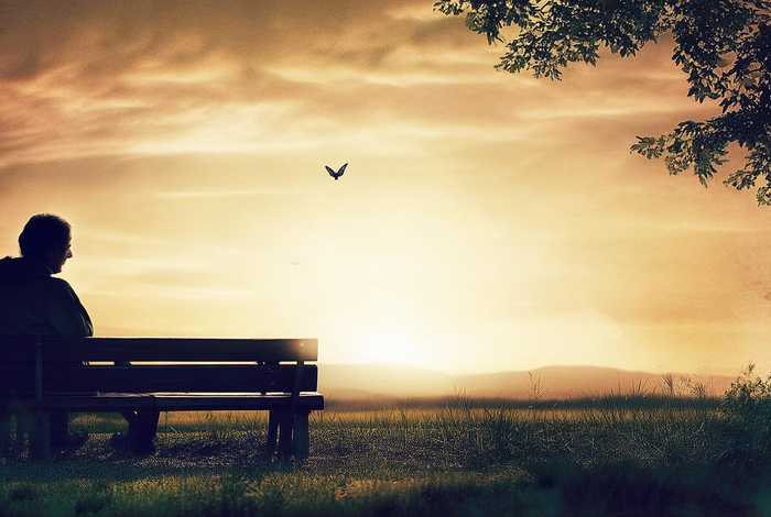 生活充满了生活的忧愁是什么歌曲 生活充满了生活的忧愁是什么歌曲名字