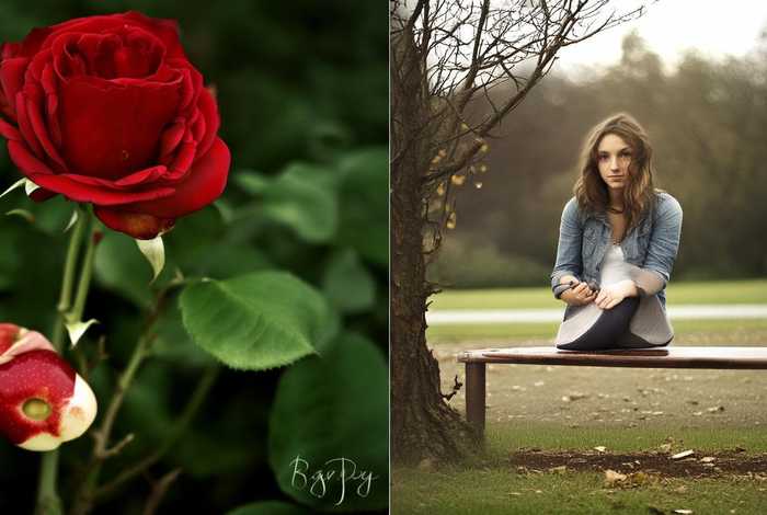 生活中的辩证法的例子；生活中的辩证法的例子简短