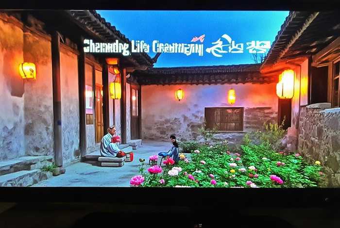 山东生活频道回放 - 山东生活频道回放录像 山东生活频道回放 - 山东生活频道回放录像