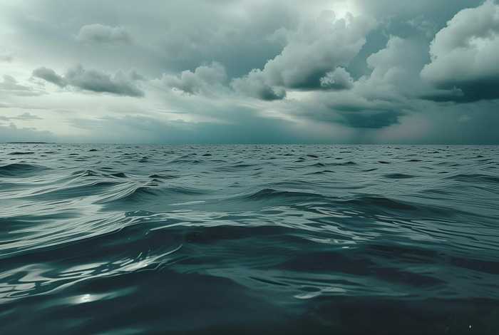 生活的波澜是指的什么意思啊；生活的波澜是指的什么意思啊网络用语