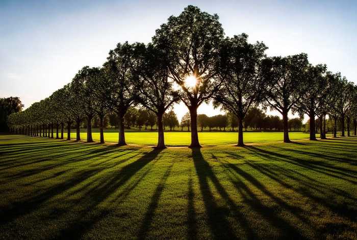 生活中有规律的现象有什么、生活中有规律的现象有什么特点 生活中有规律的现象有什么、生活中有规律的现象有什么特点