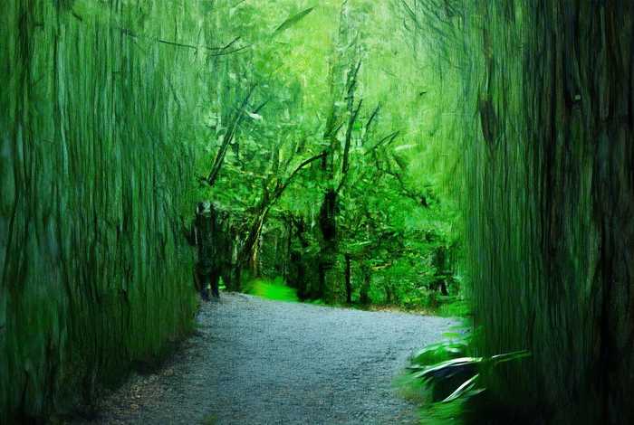 南京大学校园生活 南京大学校园生活体验