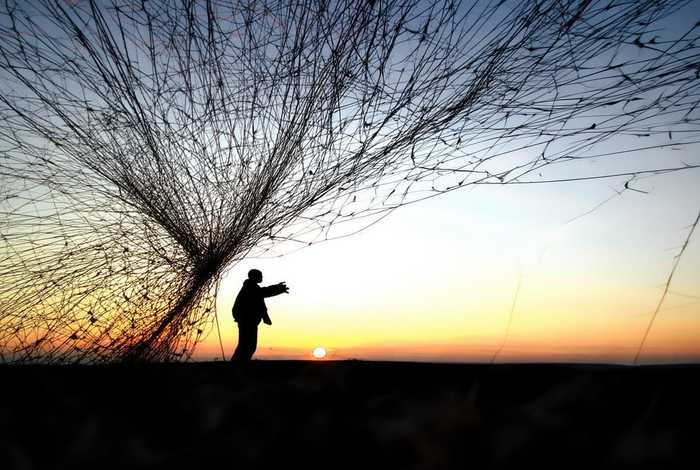 生活是一张挣不脱的网 生活是一张挣不脱的网是什么歌词