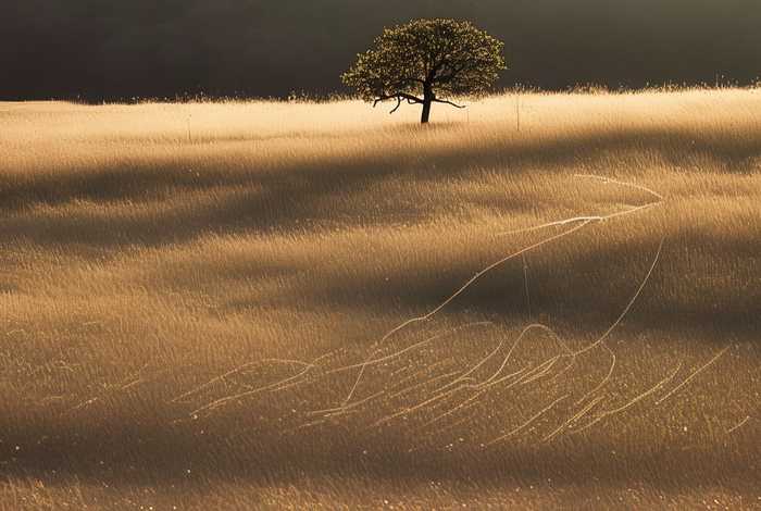 生活中的点线面照片设计（生活中的点线面点的照片）