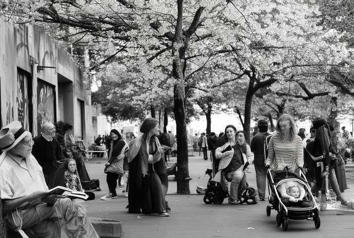 生活多样人各不同、生活多样人各不同下一句