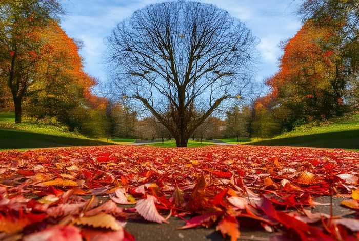 生活中的形式美和内容美、生活中内容与形式的例子