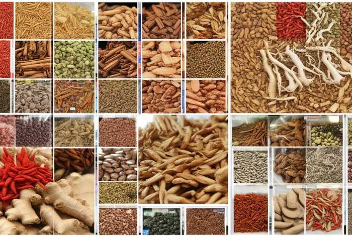 生活中常见的中药药材有哪些 - 生活中常见的中药药材有哪些图片