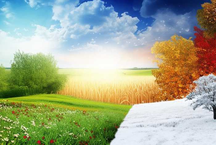 生活的周期现象有哪些；生活的周期现象有哪些方面