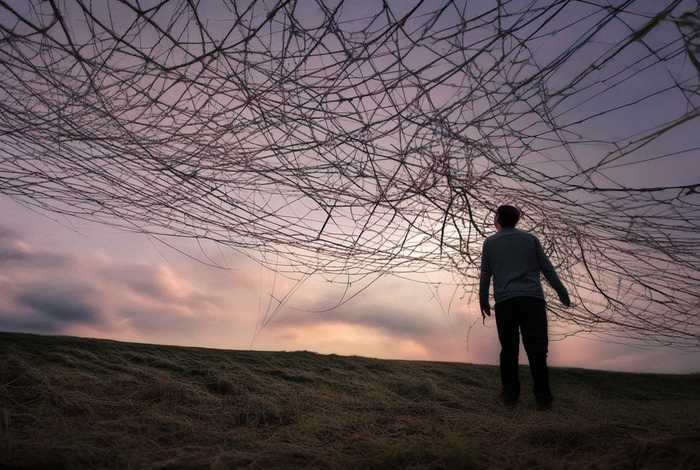 生活是一张挣不脱的网 生活是一张挣不脱的网是什么歌词