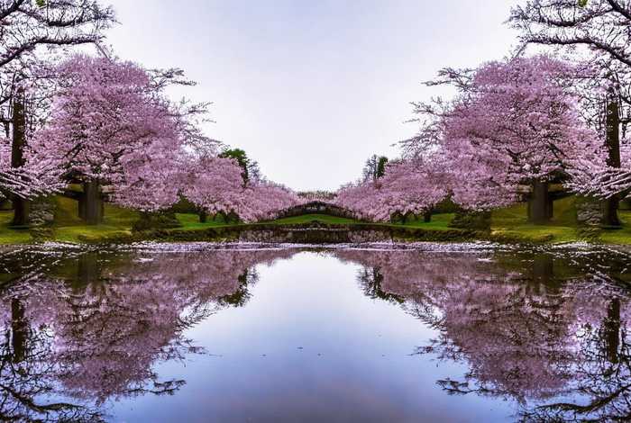 生活中对称的东西有什么，生活中对称的东西有什么图片