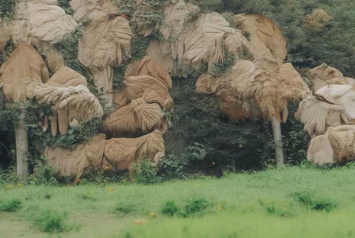 厦门生活节奏慢的原因 厦门生活节奏慢吗