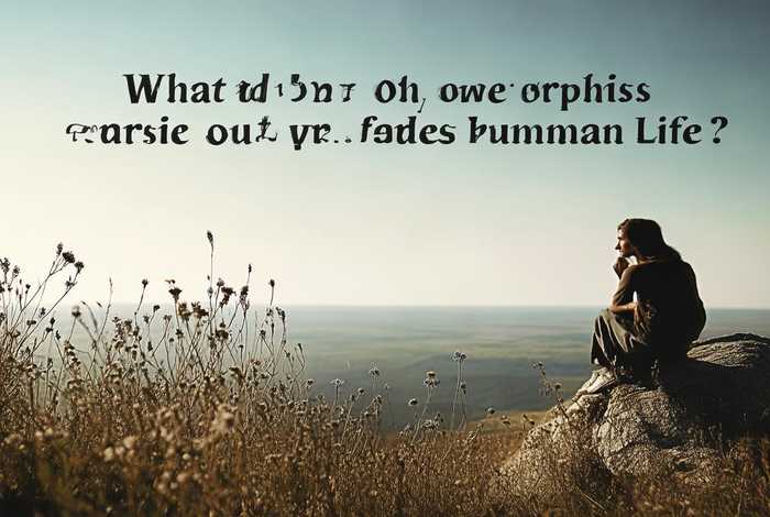 人这一生活着到底是为了什么作文 - 人这一生活着到底是为了什么作文600字