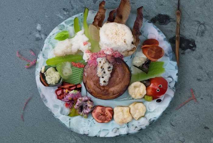 生活因什么而精彩的开头和结尾（生活因什么而精彩的开头和结尾100字）