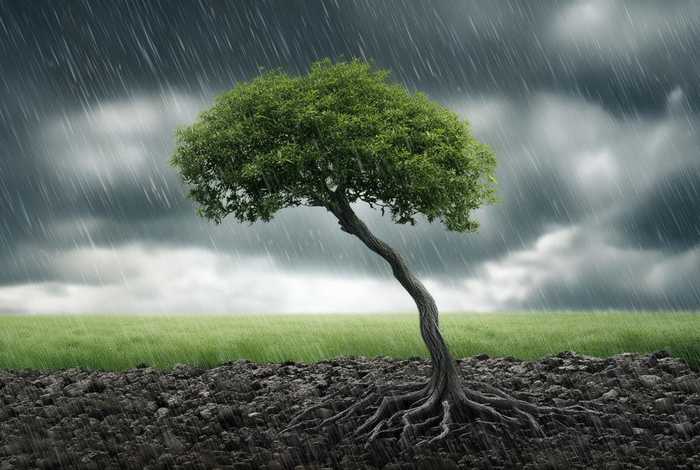 生活中的挫折有哪些作文、生活中的挫折有哪些作文题目