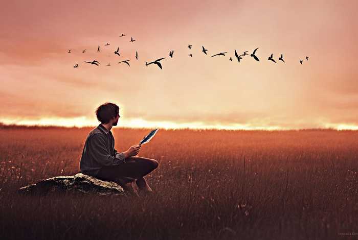 生活不只有苟且还有诗和远方是谁 生活不只有苟且还有诗和远方是谁说的