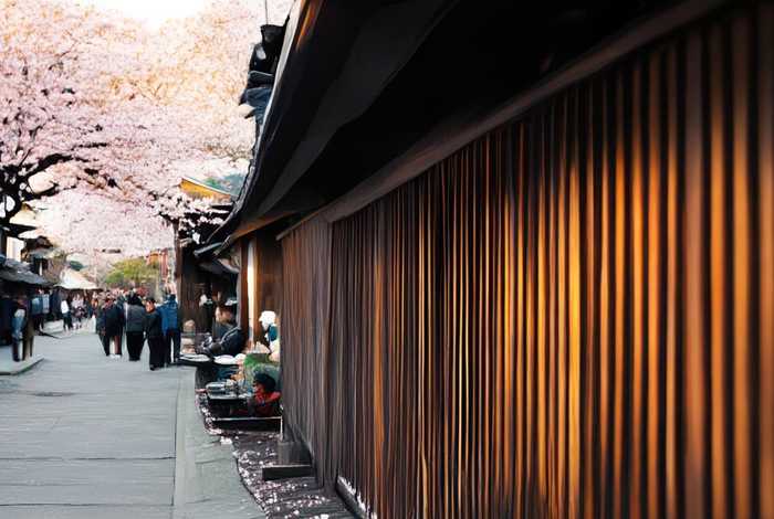 日本纪录片生活片（日本生活纪录片推荐）