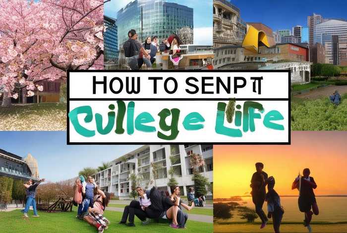 如何度过大学生活1000字、如何度过大学生活1000字作文