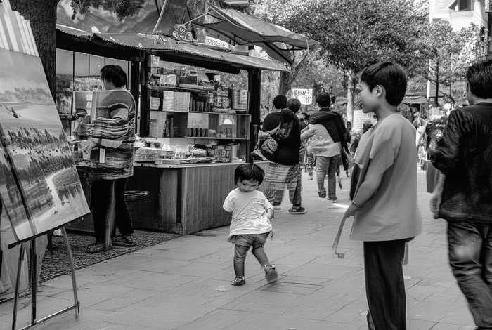 生活中自相矛盾的事作文250字、生活中自相矛盾的事作文250字左右