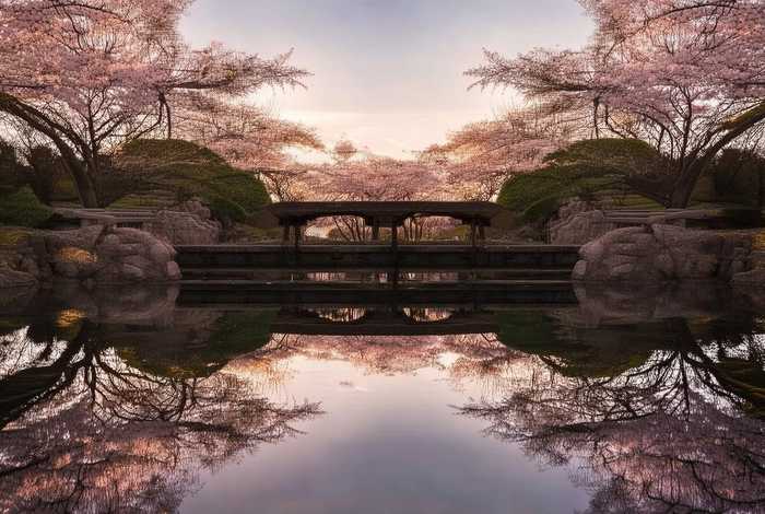 生活中对称的物体都有什么？ 生活中对称的物体都有什么