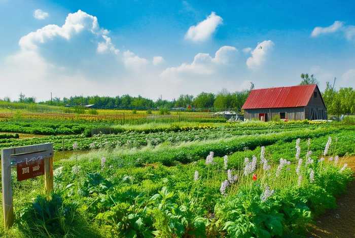 生活家有机农场地址在哪里 - 北京生活家有机农场简介