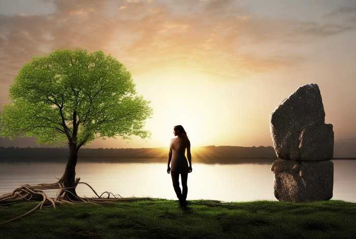 生活和生命有什么区别 - 生活和生命有什么区别呢